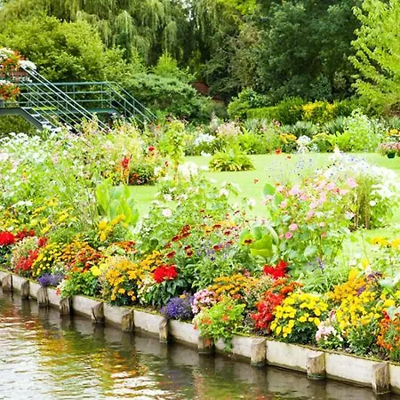 Le Secret D'agathe *