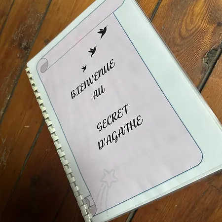 Le Secret D'agathe *